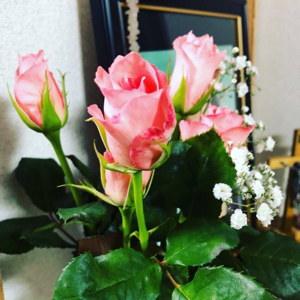 お母さんを亡くして きっと人生で一番悲しい お母さん会いたい 愛する人や大切な存在を亡くした方へ